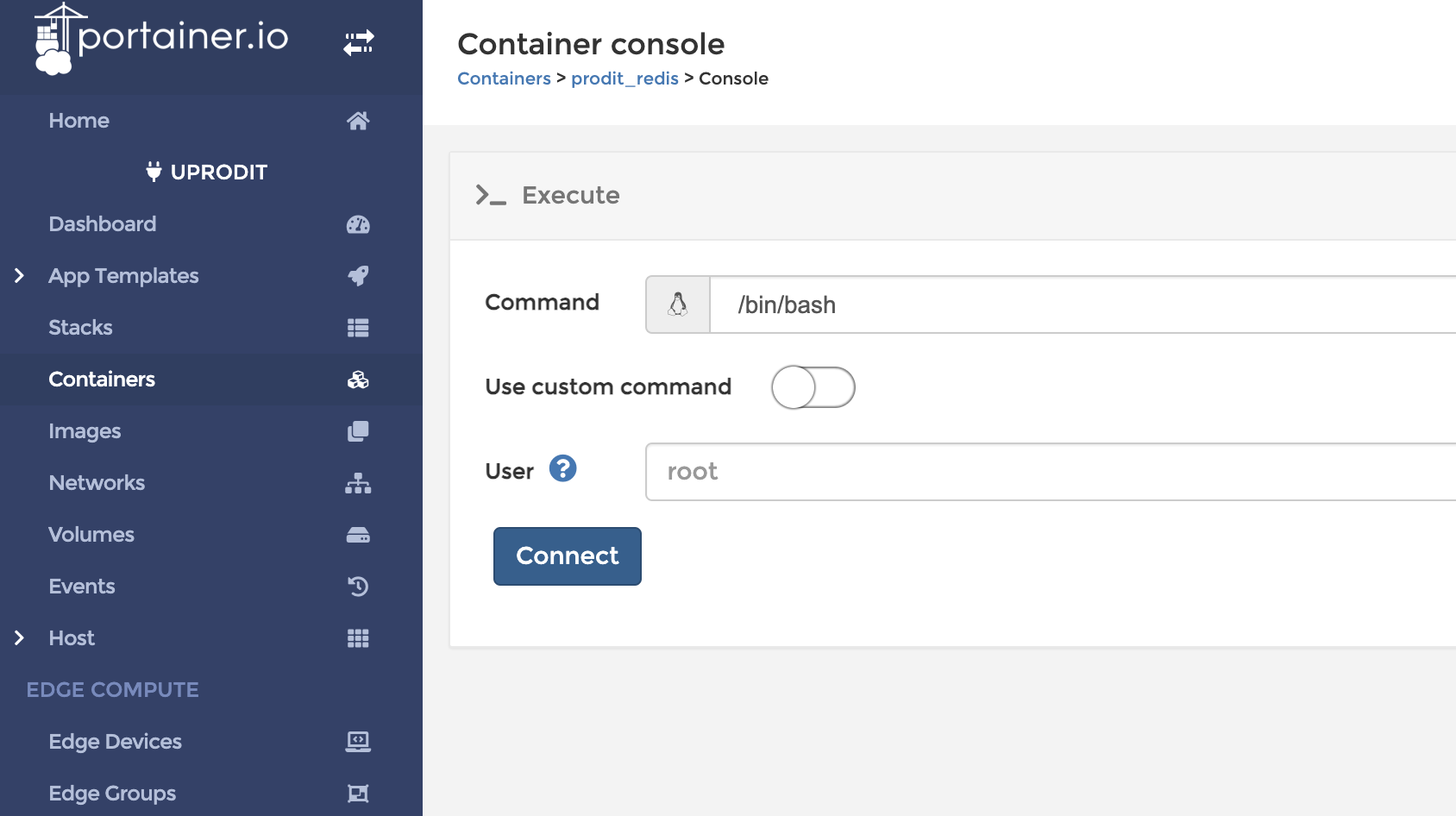 portainer_connect_container_2